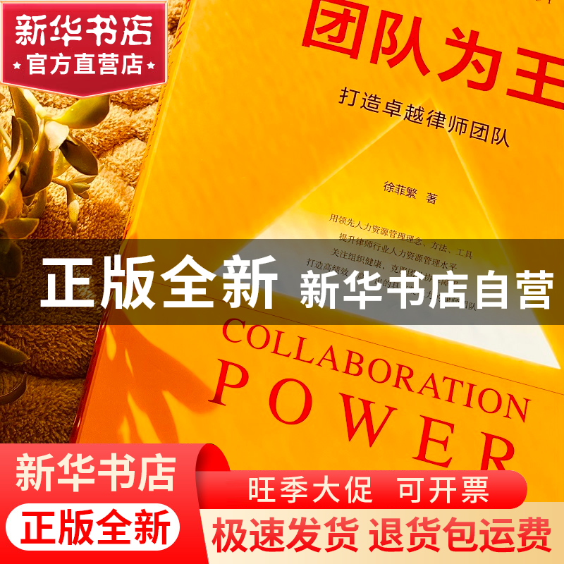 正版 团队为王:打造卓越律师团队:a way to lawyer’s excellenc高清大图