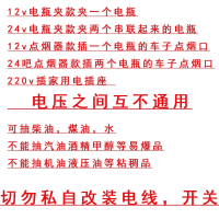 抽油泵柴油12V24伏220电动油泵12水泵加油枪抢油抽子机器抽水 12v泵电瓶夹（5米线）