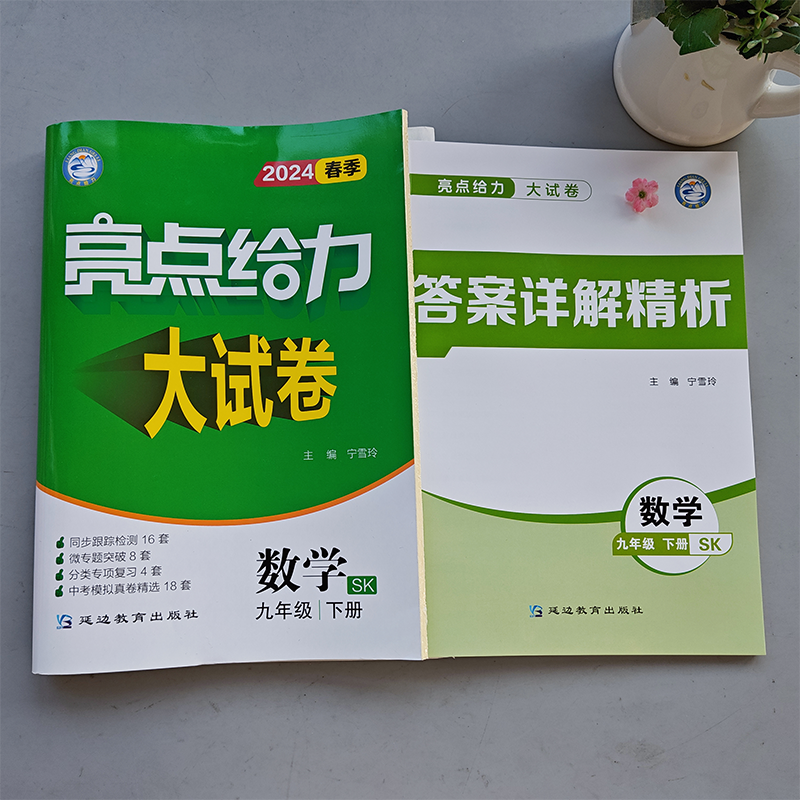 数学 九年级/初中三年级 [正版]新版 2024春亮点给力大试卷九年级下册数学江苏版中学教辅 9年级苏教版同步训练习