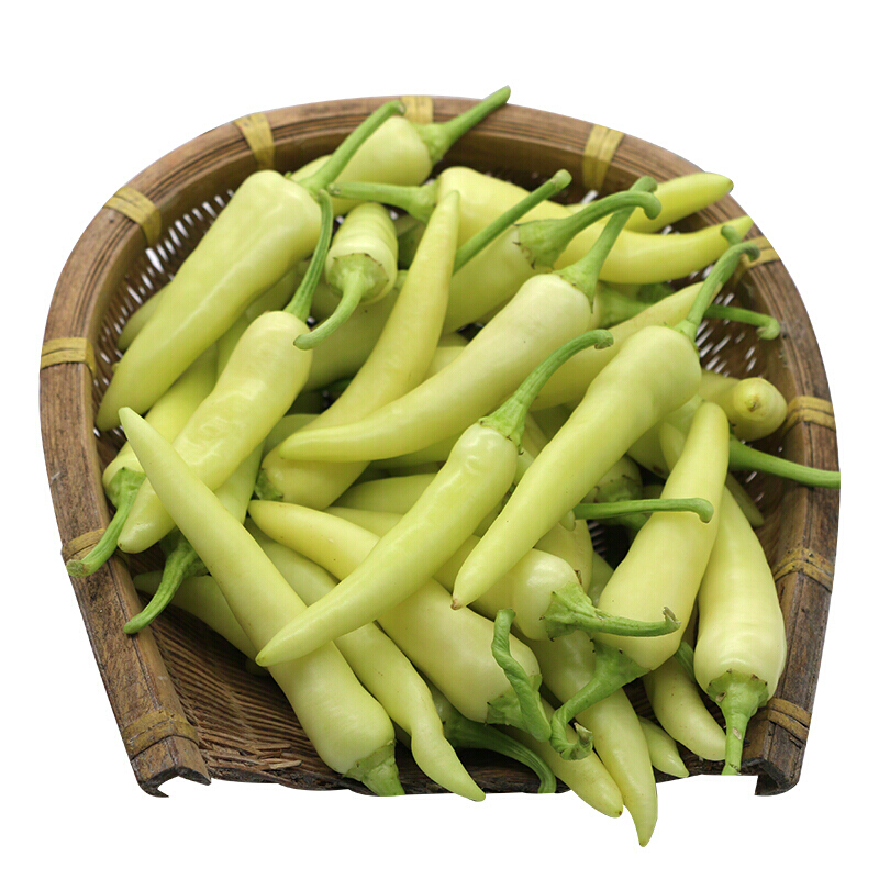 xj云南小米辣新鲜白辣椒小米椒朝天椒泡椒可开发票5斤