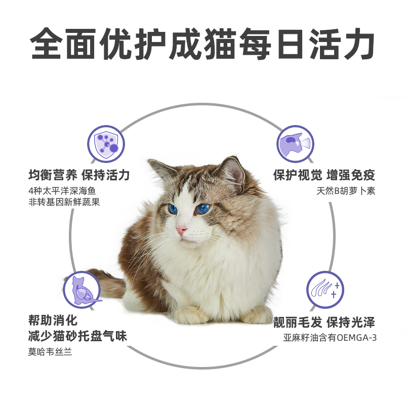 kingsmoor金士摩成猫猫粮 3kg 天然猫粮布偶 美短蓝猫加菲猫通用型