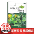 鲜食大豆高效种植新技术 许林英 等 栽培技术 黄豆 种植管理 田间管理 毛豆 3034理