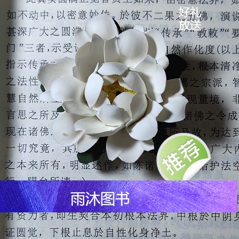 智慧上师 法王如意宝晋美彭措教授 索达吉堪布恭译高清大图