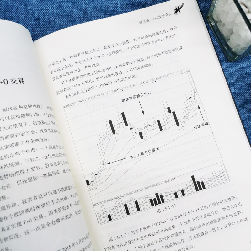 [醉染正版]擒住大牛 T+0战法从入门到精通 炒股书籍 证券技术分析图书 短线炒股投机书籍 股票入门基础知识 股市股票趋高清大图