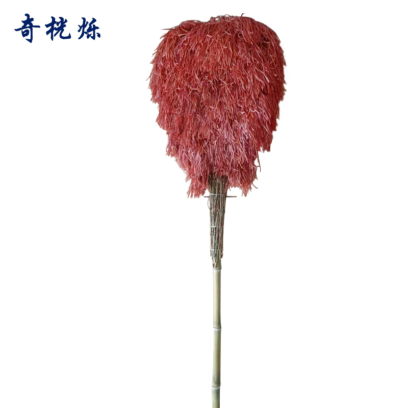 奇桄烁塑料丝扫把竹柄2.2m把