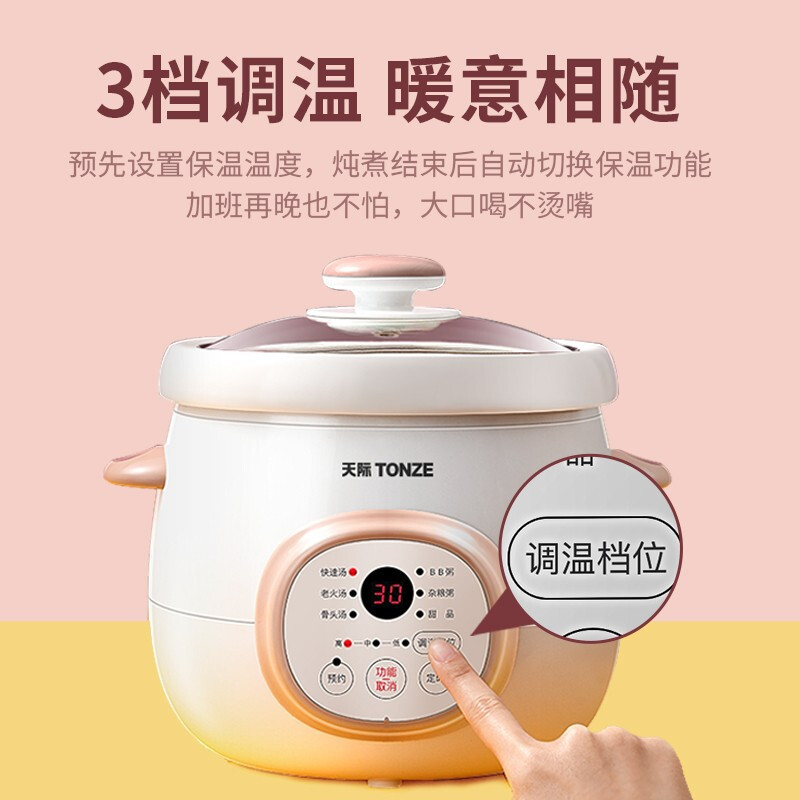 天际电炖炖锅陶瓷煲汤家用迷你宝宝炖锅bb煲煮粥神器熬煲汤锅养生锅燕窝银耳mini2-3人 DGD15-15DD