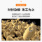 苏泊尔(SUPOR)电饭煲家用2L/升精铁内胆小型多功能预约煮粥五谷杂粮糙米电饭锅IH电磁热球釜内胆SF20HC949C