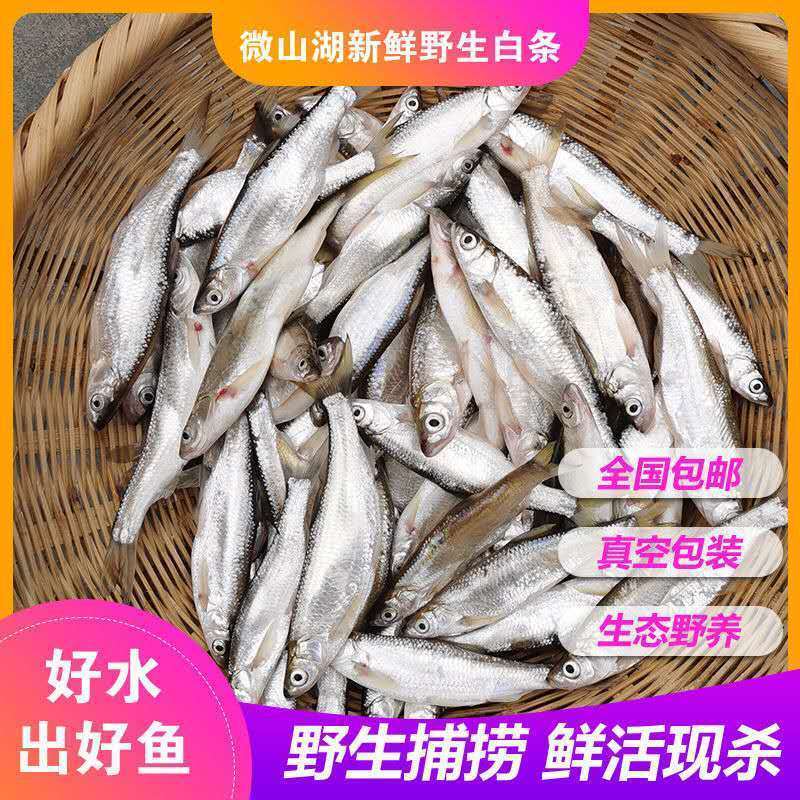 赛卡伊 新鲜白条餐条小刁子翘嘴鱼柳叶鱼白丝鱼现杀去内脏现发 大号装 两斤装