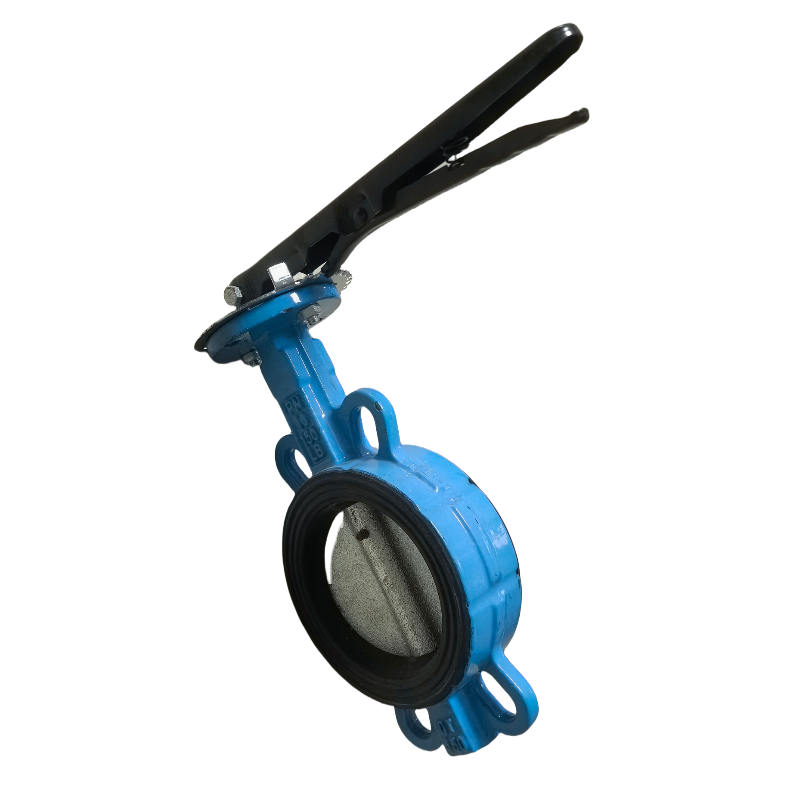 晟宏德 手柄对夹蝶阀 DN100 个高清大图