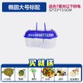 乌龟缸带晒台小鱼缸养乌龟专用缸塑料手提盆水陆缸送小乌龟 默认尺寸 椭圆大号标配送乌龟