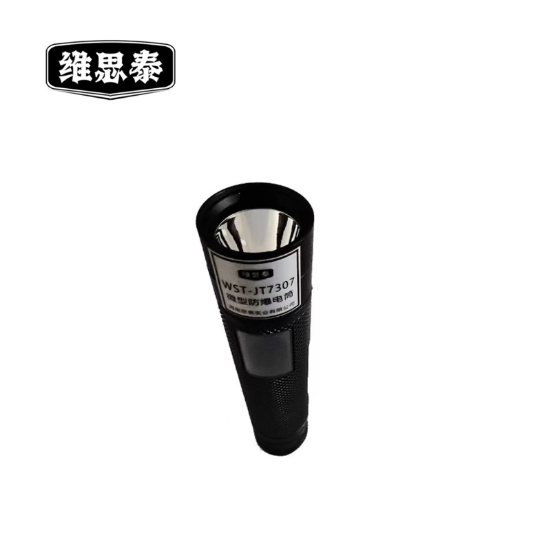 维思泰 微型防爆电筒 WST-JT7307 套
