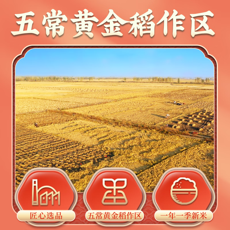 隆平芯米 东北大米 五常福稻 长粒香米 粳米真空包装 5kg(单位:袋)高清大图