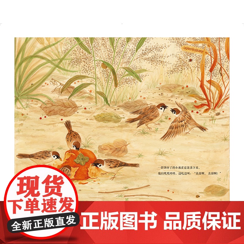 东方娃娃绘本精装《柿子熟了》幼儿园中班大班读物3-8岁儿童图画书睡前故事书亲子阅读书籍 DF高清大图