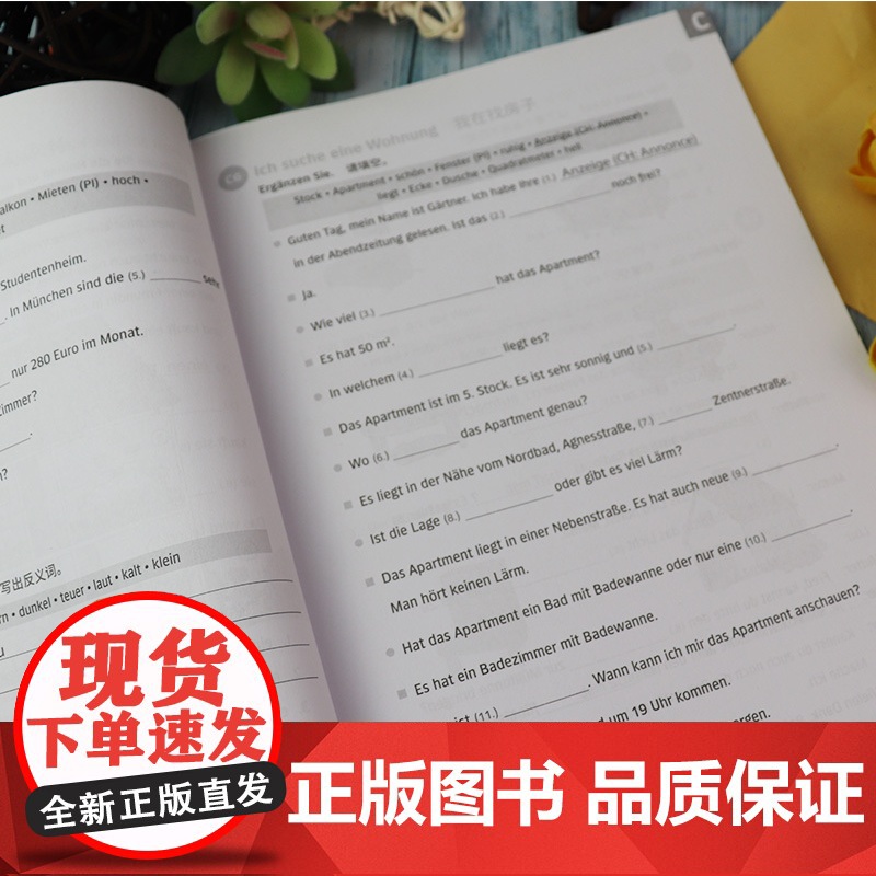 德语词汇语法训练A1安娜丽.比利娜编著 欧标德语A1考试备考 德语语法解析与练习德语欧标考试书籍德语自学入门教材同济大学高清大图
