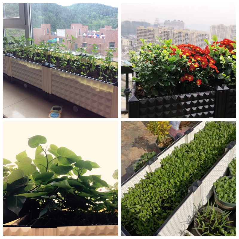 美帮汇加长种植箱阳台种菜盆楼顶蔬菜种植箱特厚塑料花盆全新花种菜箱高清大图