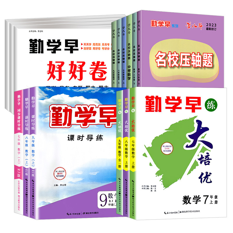 2本[压轴题+好好卷]数学 八年级上 [正版]武汉发货2024新版勤学早同步大培优名校压轴题好好卷课时导练 初中考语文数