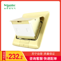 施耐德电气(Schneider Electric)铜质 弹出式地插 电话+电脑地插