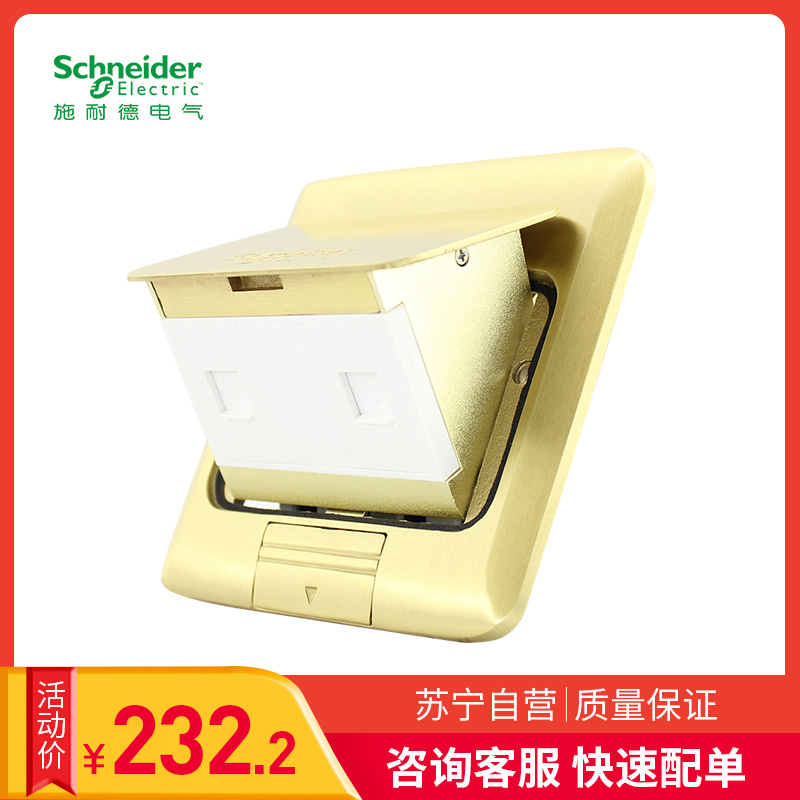 施耐德电气(Schneider Electric)铜质 弹出式地插 电话+电脑地插