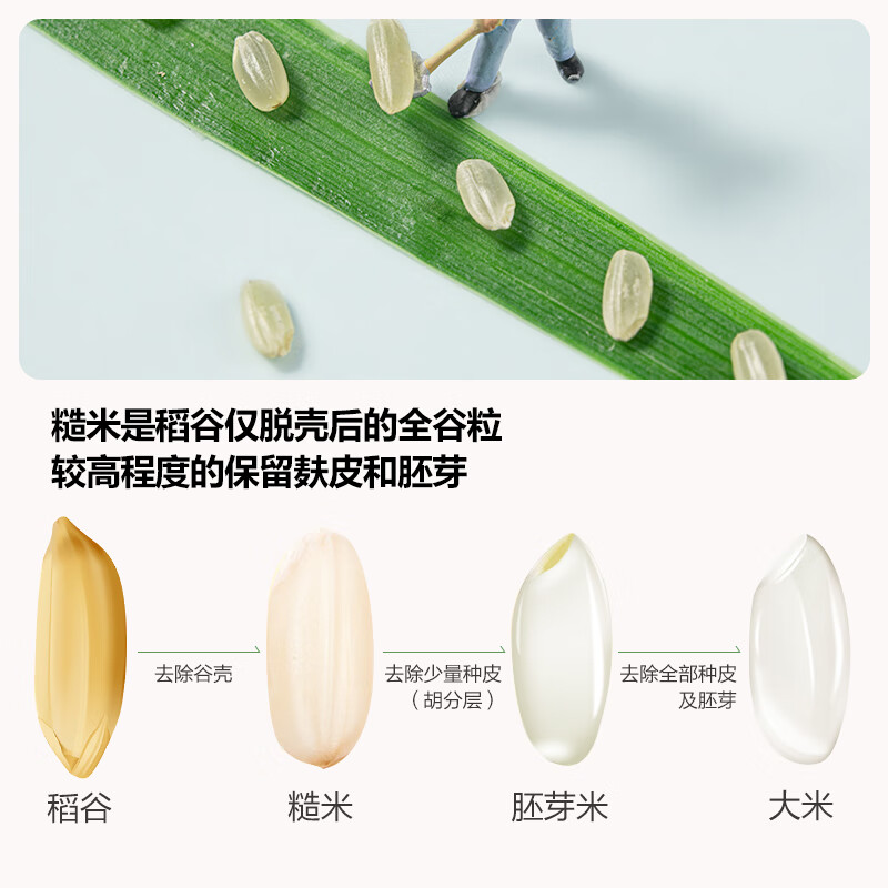 北纯糙米有机高饱腹感弹润有嚼劲质地紧实瓶装1.5kg高清大图