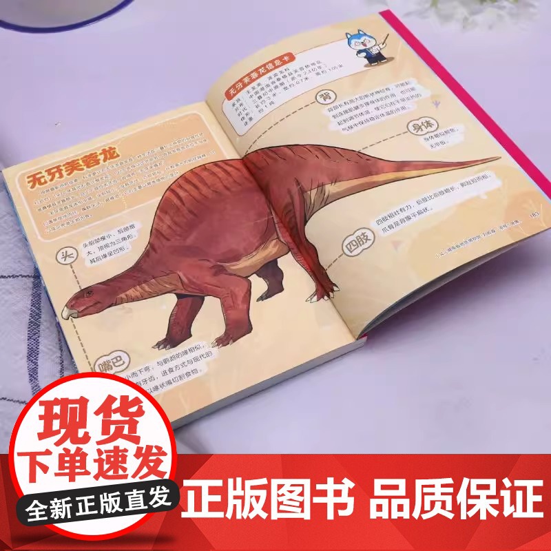 正版书籍 哈小浪奇遇记 恐龙岛大冒险6 趣味益智漫画儿童课外阅读书籍 哈小浪 著 梁洁 编 湖南少年儿童出版社 速高清大图