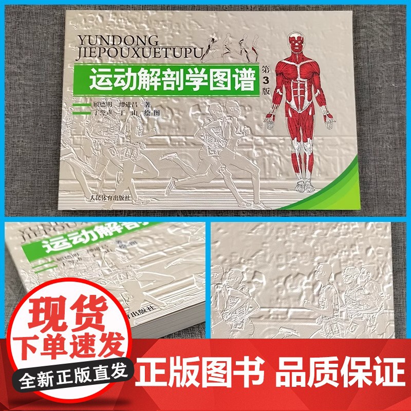 [正版]运动解剖学图谱 第3版 人民体育出版社运动解刨学运动医学书运动训练力量健身人体肌肉全面解剖图谱体育医学专业书籍高清大图