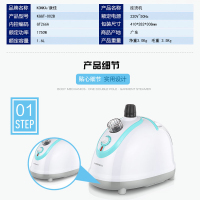 康佳(KONKA) 挂烫机KGGT-002B爱衣恋 (内控GT266A)