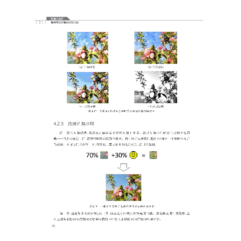 正版新书]有趣的矩阵 看得懂又好看的线性代数马婧瑛,汪文帅 著9高清大图