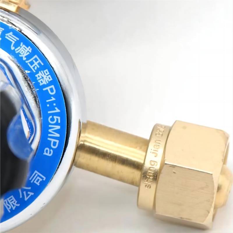 Stikely氧气减压阀YQY-12高清大图