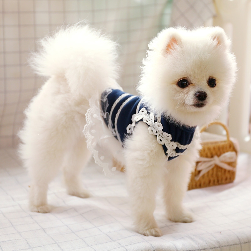 狗狗裙子泰迪比熊博美宠物米妮衣服小型犬公主裙秋装视频