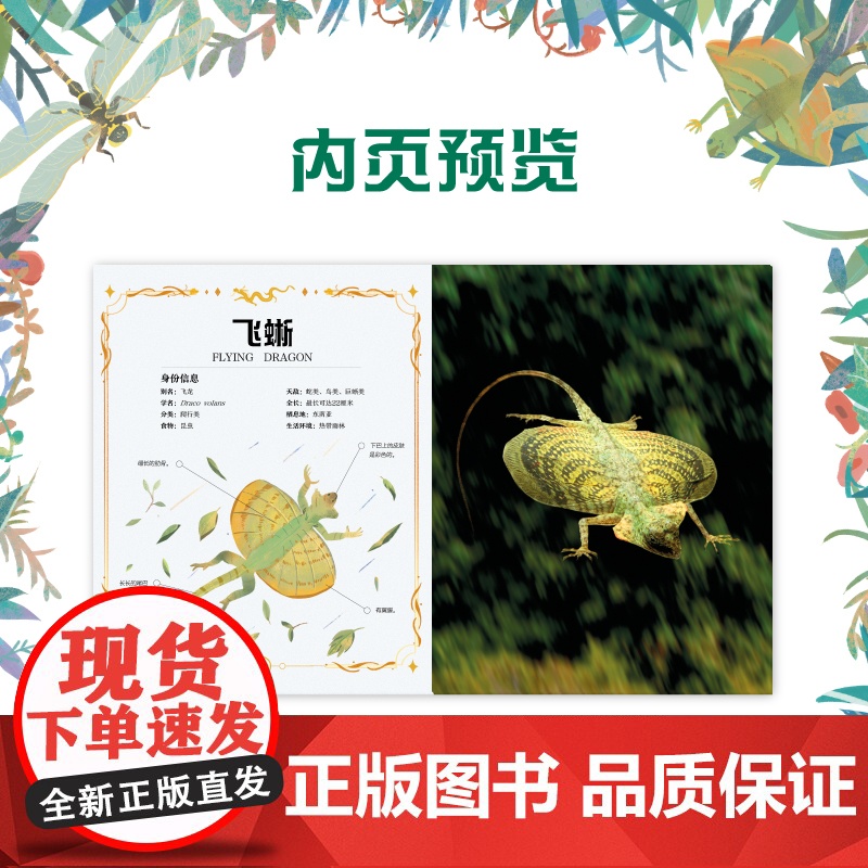 正版 真的有龙吗?自然界的“龙”图鉴,高清特写照片揭秘10种神秘的“龙”的真实身份阿尼塔·加纳利著天闻角川湖南美术出高清大图