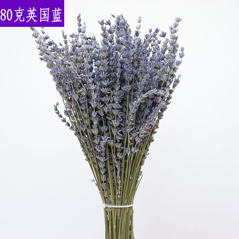 薰衣草干花新花天然香薰薰衣草干花束安神助眠香包家居装饰除异味 80克体验英国蓝 [小束] 夏季新花[全都是英文报纸包