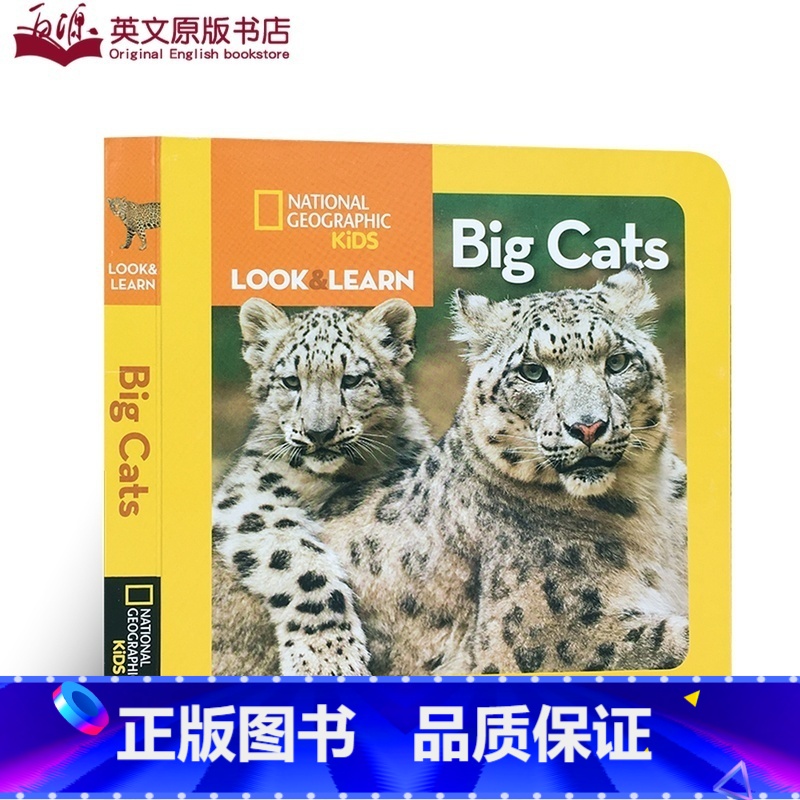 【正版】英文原版绘本 National Geographic Kids Look and Learn: Big Cats