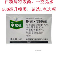 多菌菌灵花药杀菌药花卉专用兰花多肉月季植物杀菌剂国光多菌灵