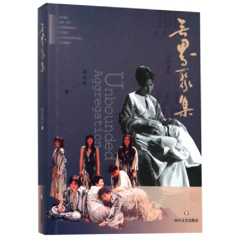 正版新书]无界聚集冯大庆9787541151682高清大图