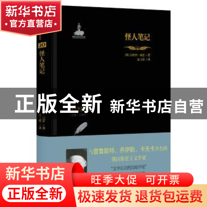 正版 怪人笔记 (俄)安德烈·别雷著 四川人民出版社 9787220109966
