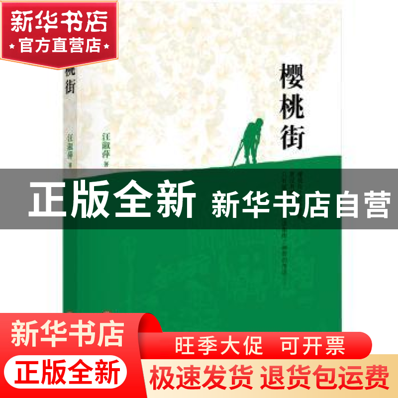 正版 樱桃街 汪淑萍 中国文联出版社 9787519021641 书籍高清大图