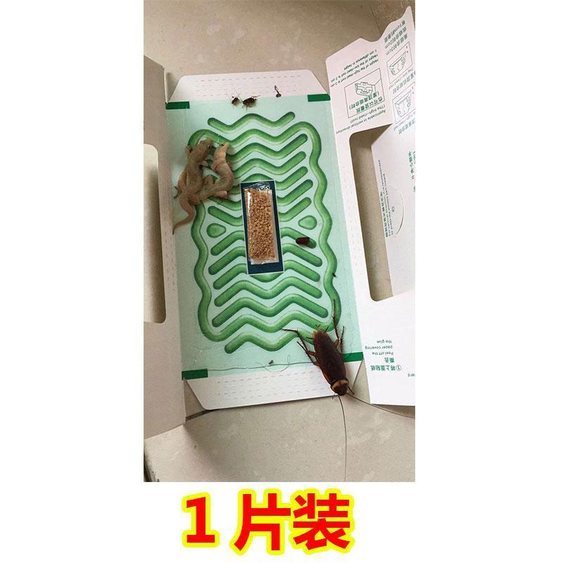 驱壁虎神器贴室内灭蟑螂老鼠蚂蚁壁虎蜥蜴粘驱壁虎粘板家用餐厅 1片装 地上使用
