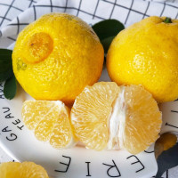 【苗家十八洞 】湖南怀化精选黄金贡柚礼盒装10斤装（带箱） 单果径65-75mm左右 时令生鲜水果橘柚坏果包赔