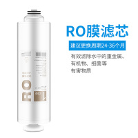 格力净水器滤芯 WTE-PT63-2X601A/2021滤芯 PCU滤芯