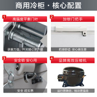 澳柯玛(Aucma)828升顶开门单温冷柜大冰柜商用大容量单温冷藏冷冻三开门卧式冷柜BC/BD-828