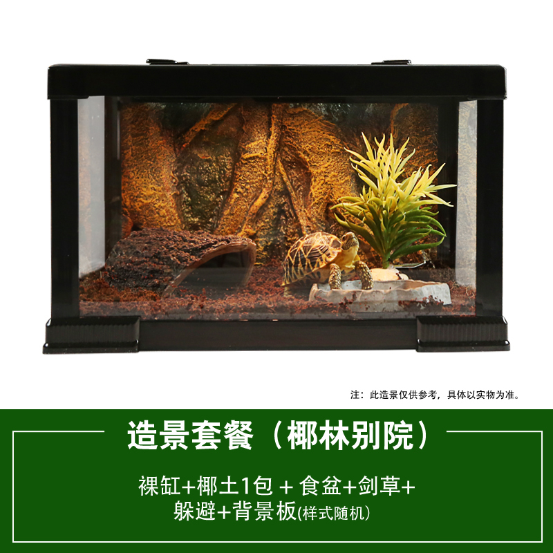 透明玻璃爬虫箱陆龟蜘蛛蝎子蜥蜴角蛙守宫昆虫饲养箱乌龟缸玻璃箱