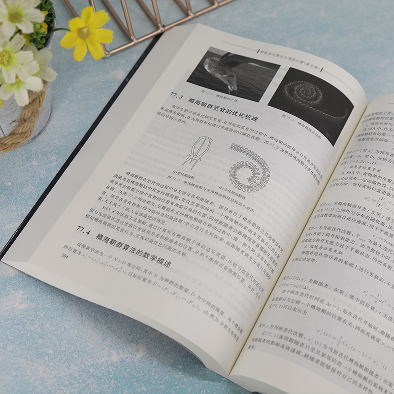 醉染图书智能优化算法与涌现计算(第2版)9787302603993高清大图