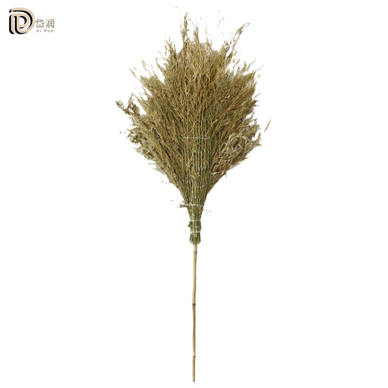 岱润 扫帚 竹把 把高清大图