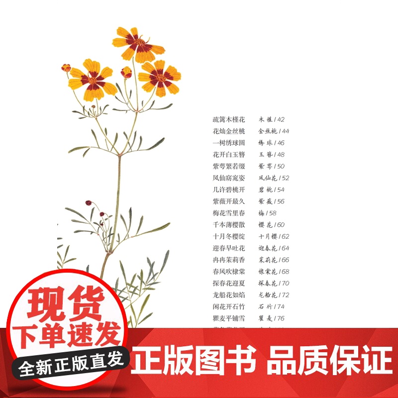 花开不记年/草木闲趣书系 草色入帘青书 徐红燕博物学全彩印刷花卉普及读物毛利梅园梅园草木花谱 上海科技教育出版社高清大图