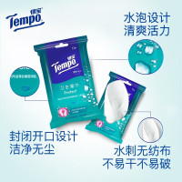 得宝(TEMPO)一博同款 杀菌湿巾12片*5包 便携装 湿巾小包 高效杀菌 防护湿巾