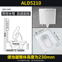 ARROW箭牌家用 陶瓷 蹲便器 水箱套装后大便池 存水弯防臭蹲厕 大冲力水箱 防滑蹲坑套装