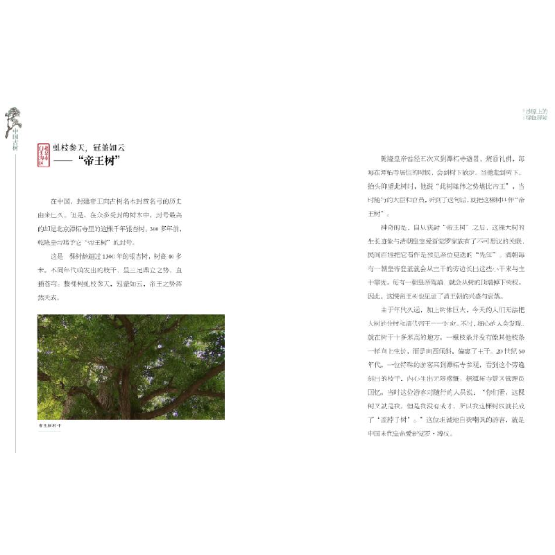 正版新书]中国古树:绿色文物的传奇故事中央电视台9787548076780高清大图
