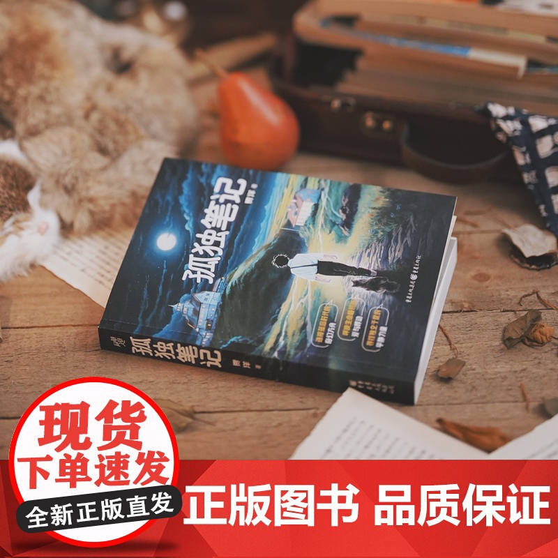 孤独笔记 贾洋 献给千千万万踯躅在人生路口的年轻人 情感奇幻小说高清大图