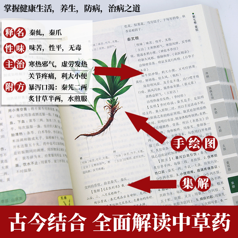[正版]加厚本草纲目原版全套李时珍 中草药全图鉴彩图大全书精编本草纲目中医学黄帝内经 中药材草药图解本草纲目原版全套李时高清大图