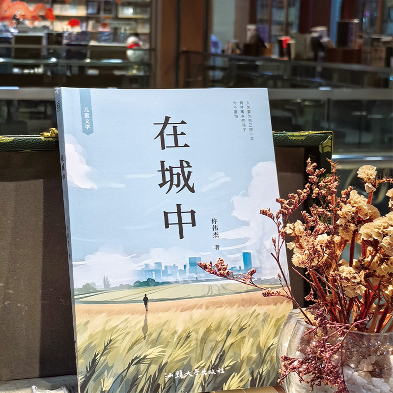 在城中 [正版] 在城中 展现留守儿童从乡村到城市的心路历程 给9-15岁儿童的勇气之书 揭示城乡差异与社会问题 儿童文